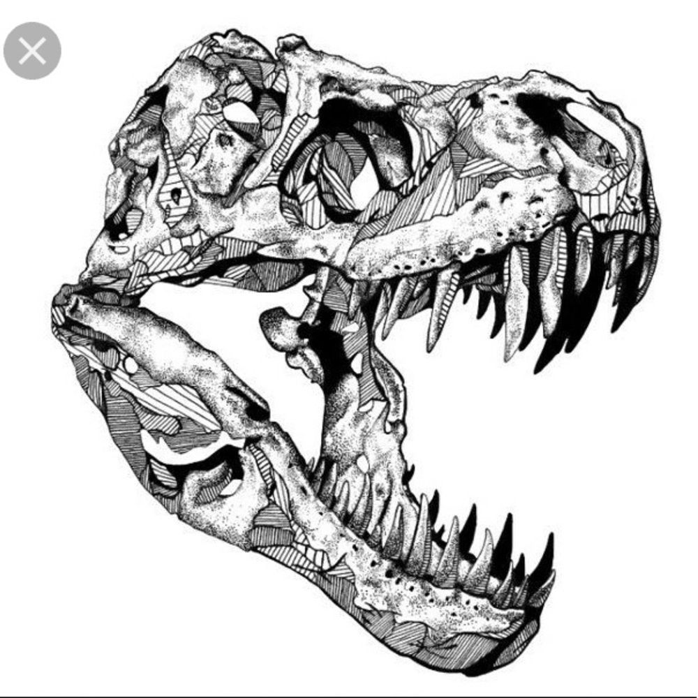 Meet your Posher, Jayden